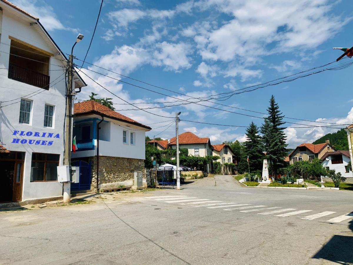 Цяла Ваканционна Къща- Florina Houses Goranovtsi Luaran gambar